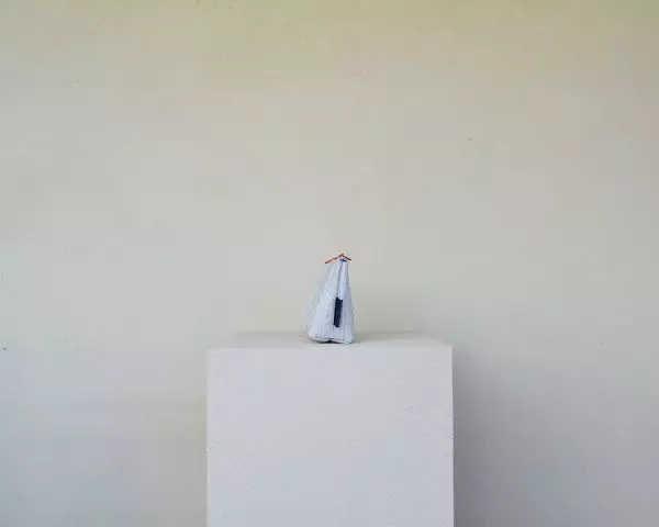 44jpg Wic Case - Red